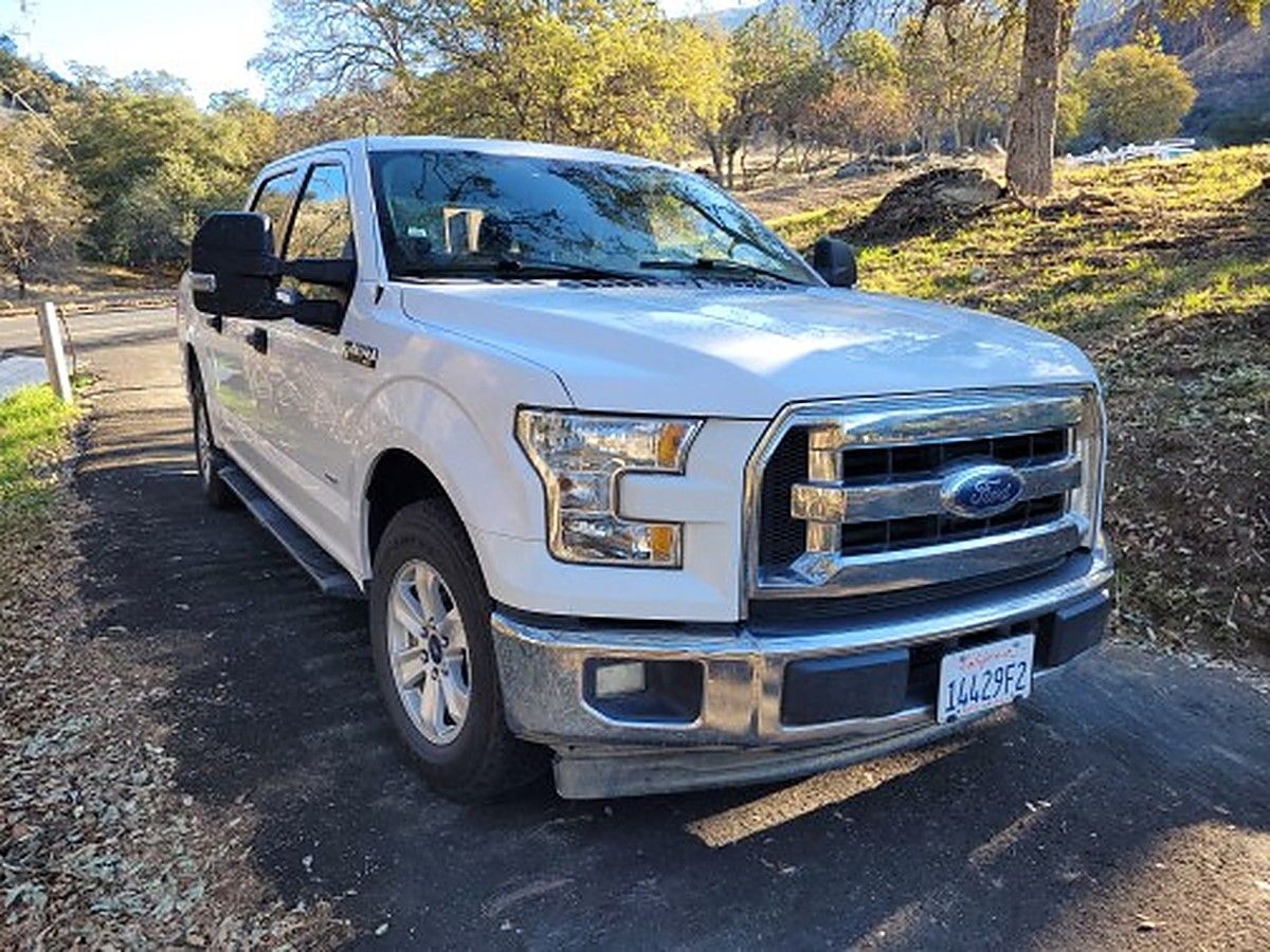 FORD F150CREWXLTGRWD photo 2