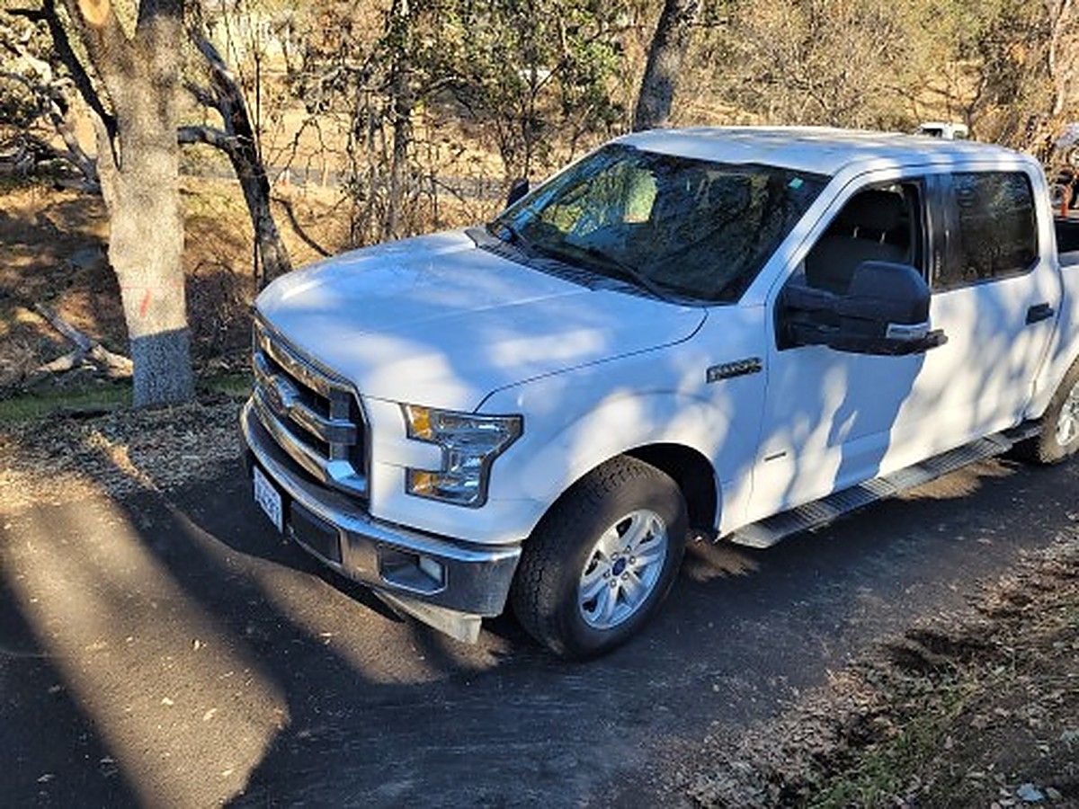 FORD F150CREWXLTGRWD photo 3