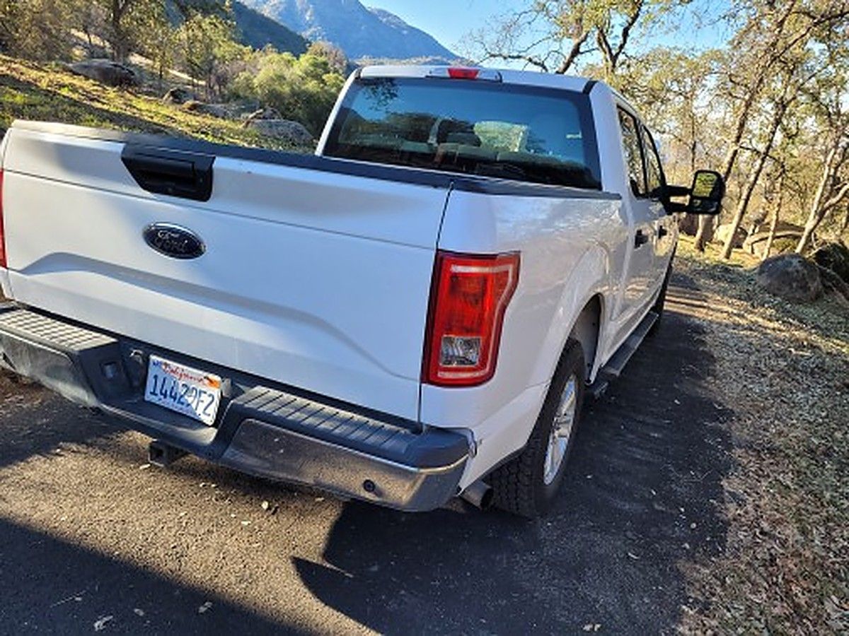 FORD F150CREWXLTGRWD photo 5