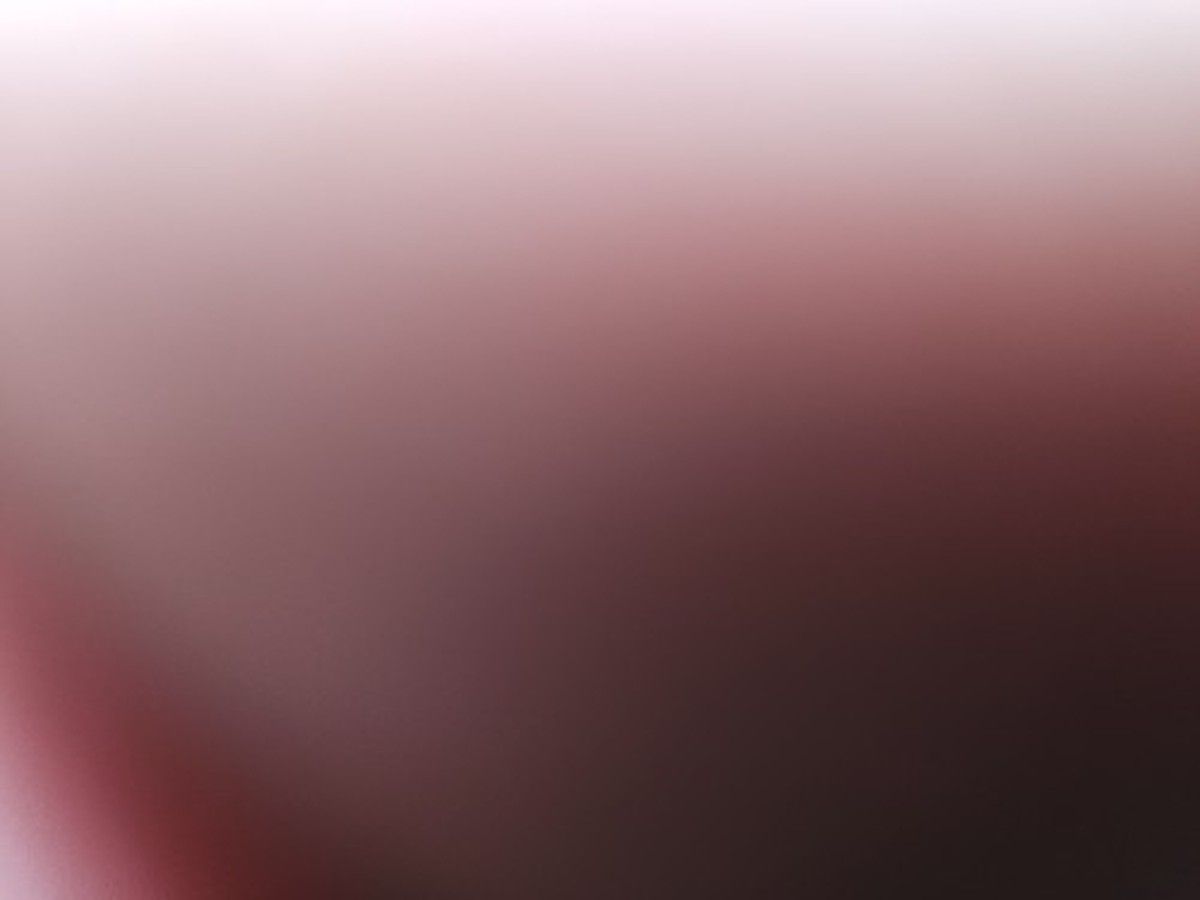 JLG 20MVL photo 2