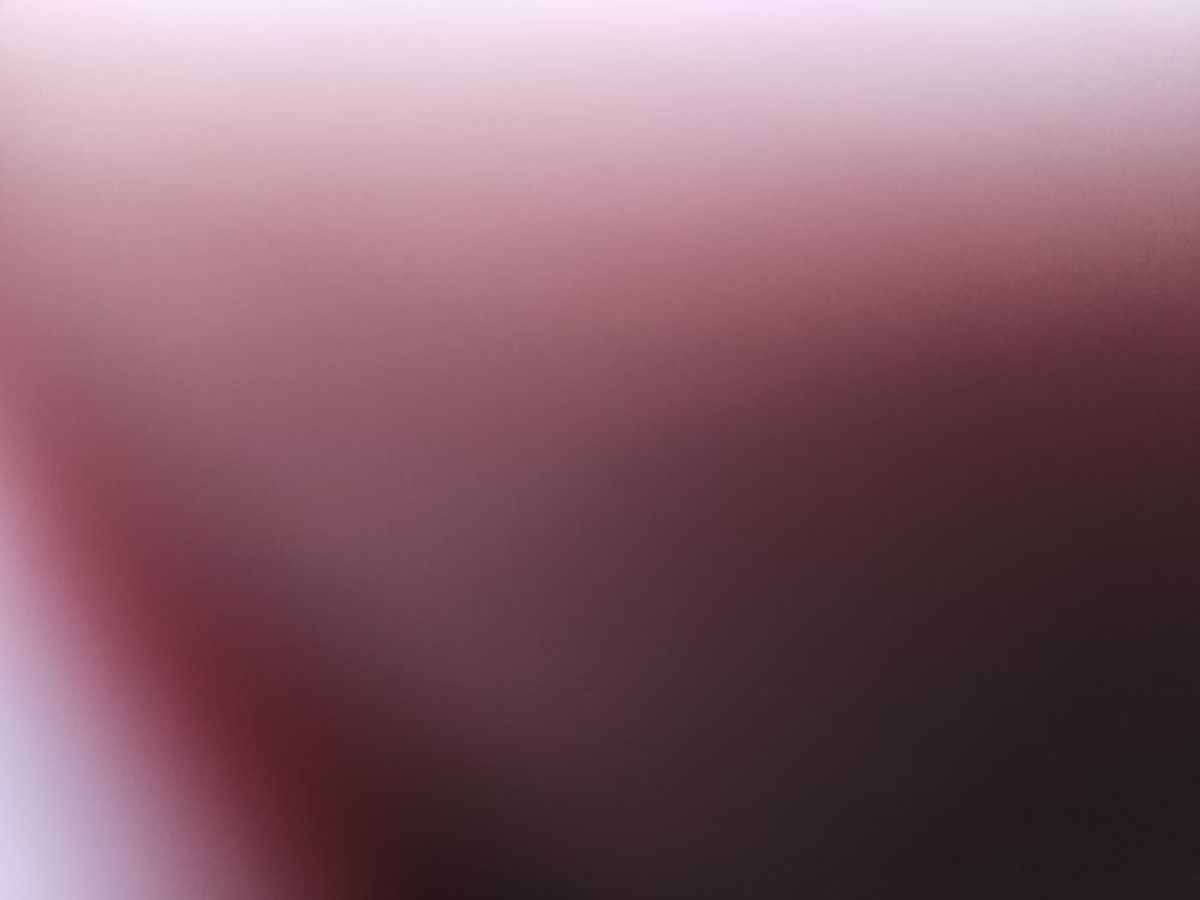JLG 20MVL photo 3