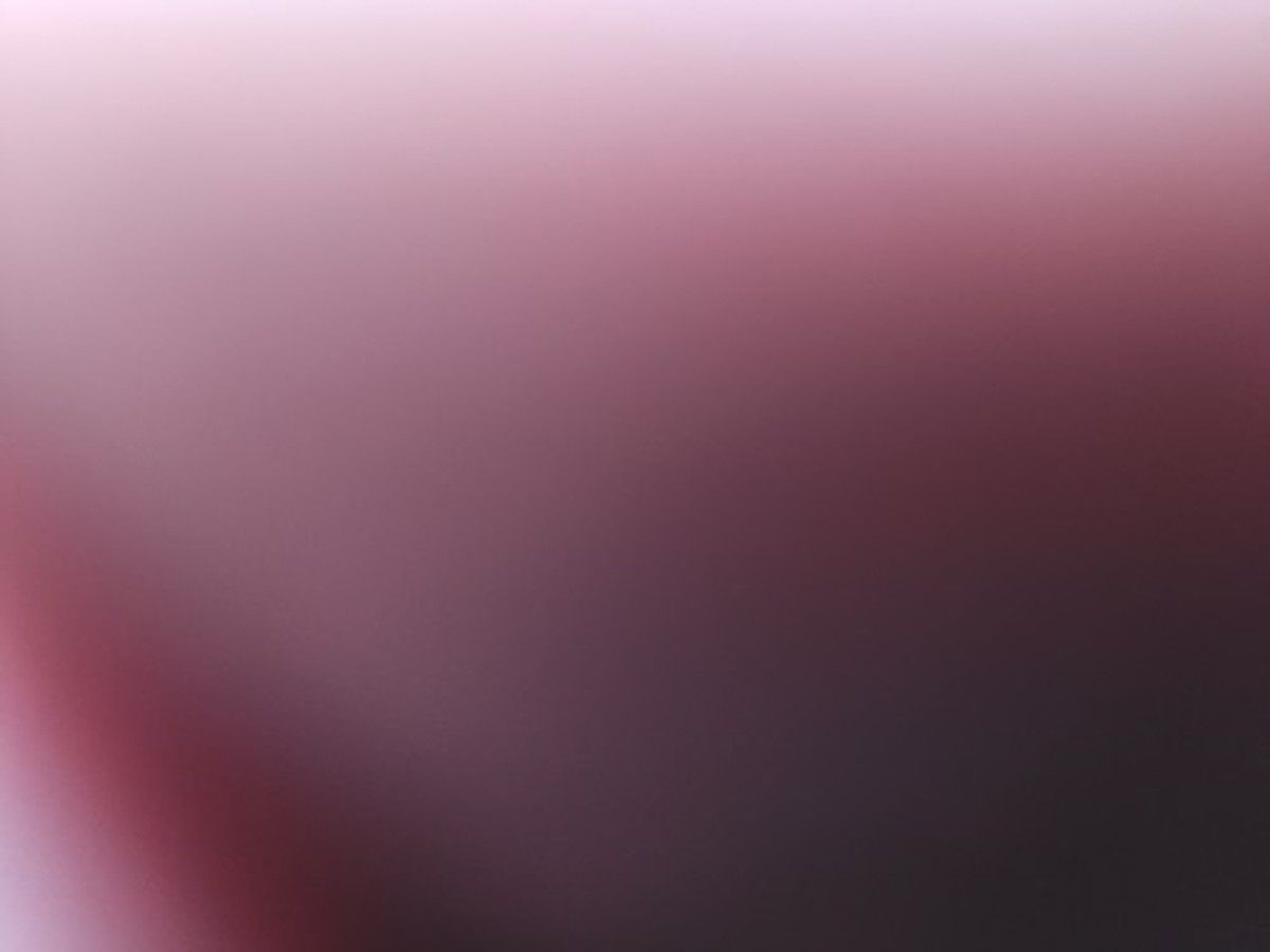 JLG 20MVL photo 5