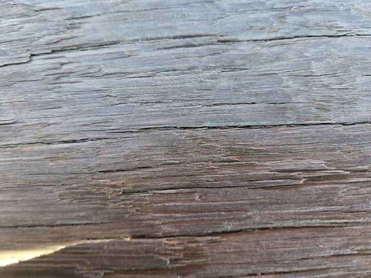 MEC 60J-D photo 3