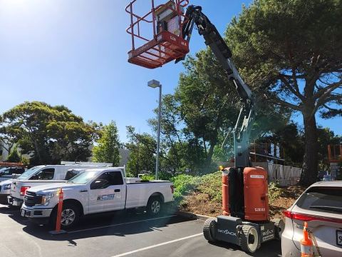 2017 SKYJACK SJ30ARJE Boom 30-33' Articulating Dc