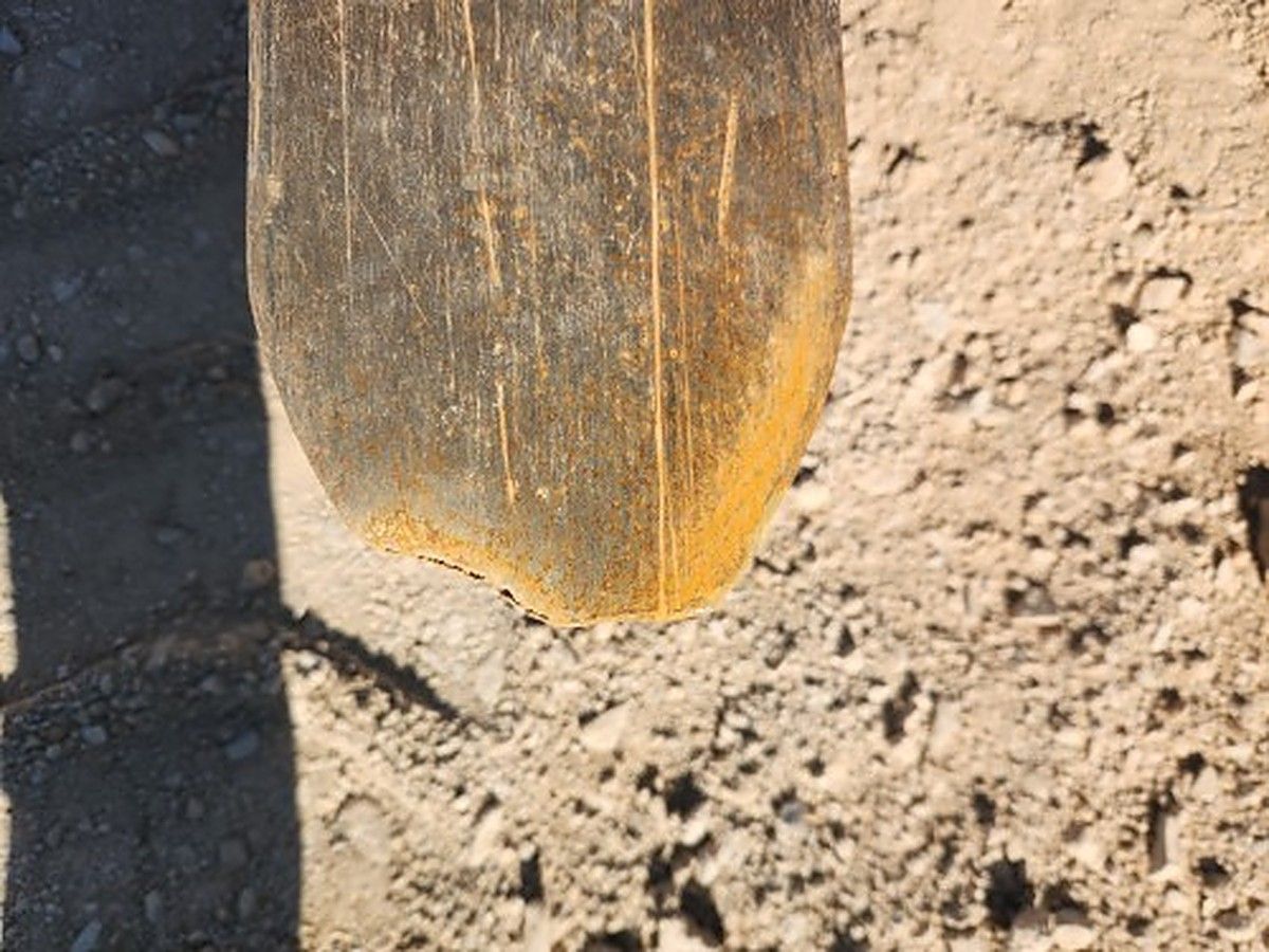 CASE 47803652 photo 5