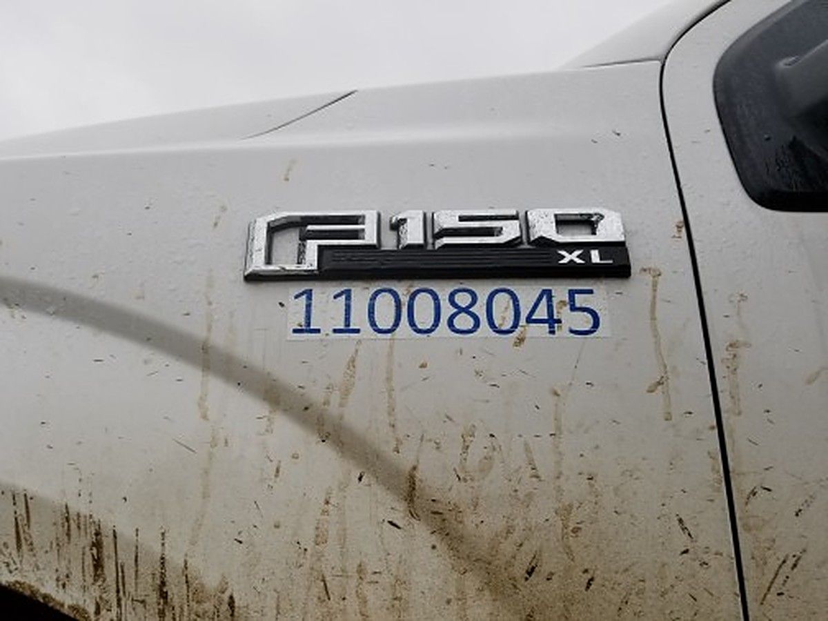 FORD F150CREWXLG4WD photo 5