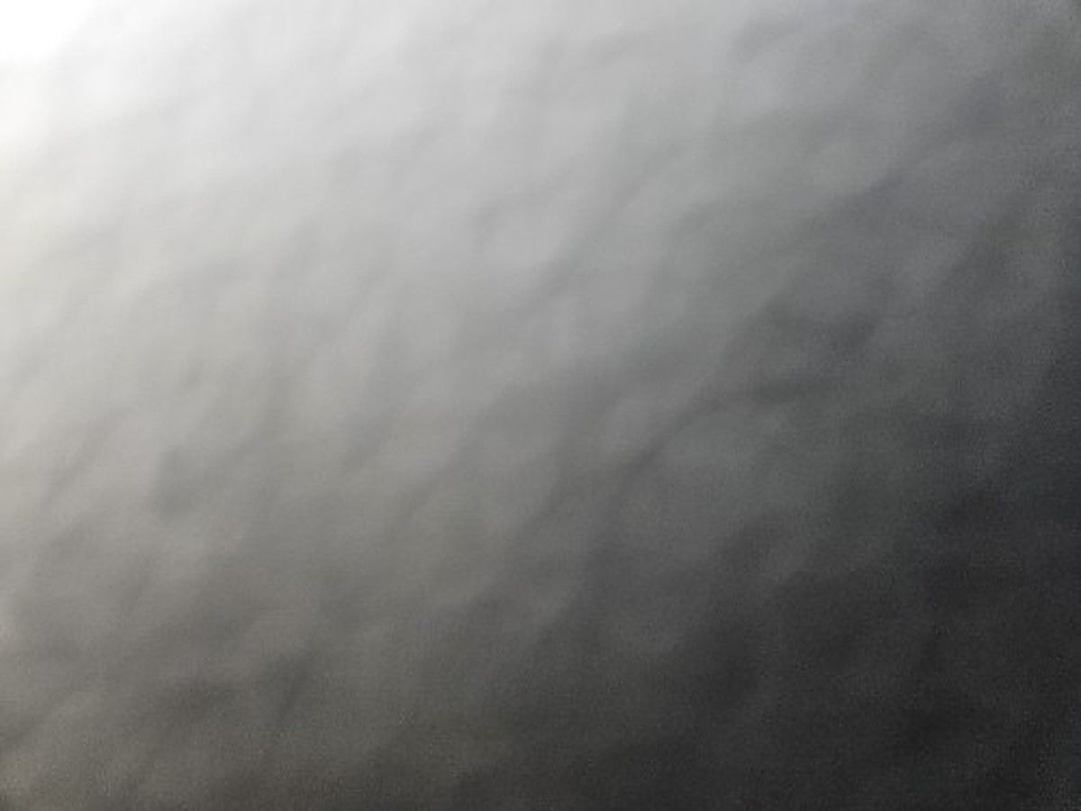 MEC MICRO 19 photo 3