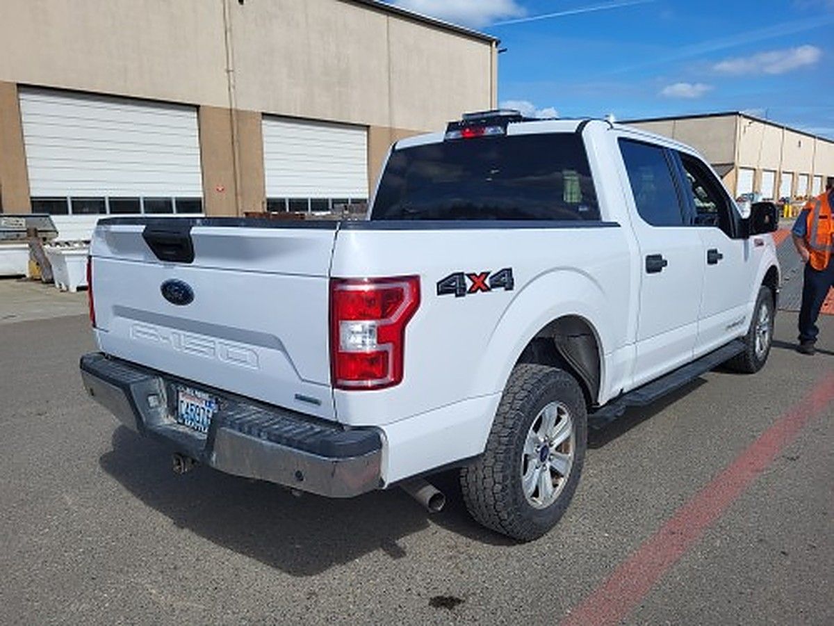 FORD F150CREWXLTG4WD photo 3