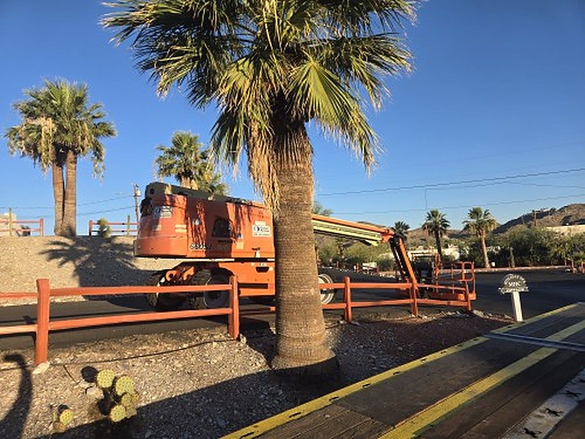 JLG 660SJ photo 10