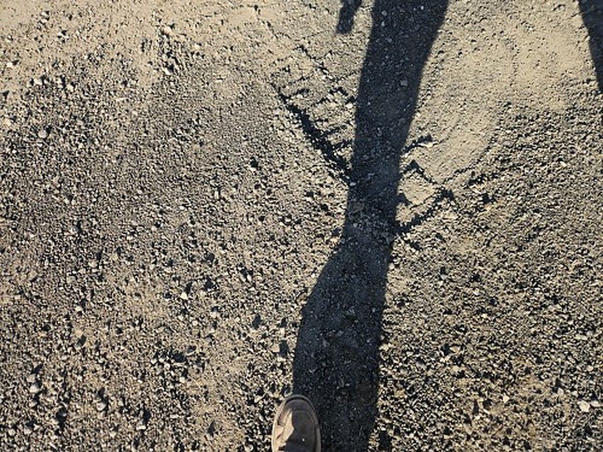 TAKEUCHI TL12R2-R photo 4