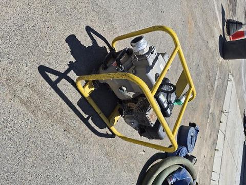 2019 WACKER PT 3A for sale