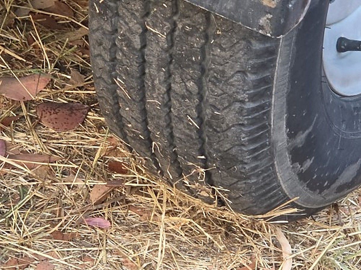 ALLMAND BR MP25 photo 8