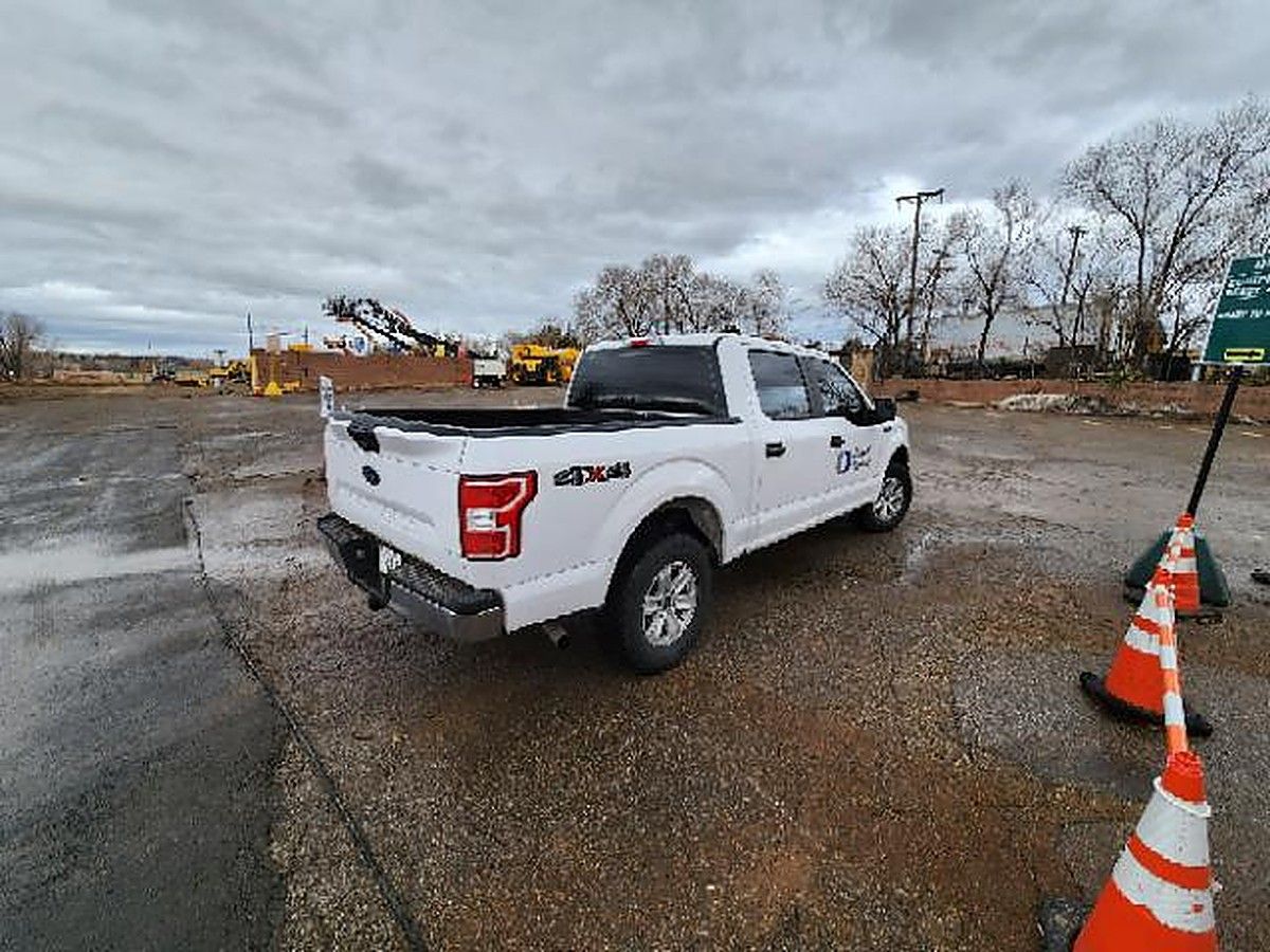 FORD F150CREWXLG4WD photo 3