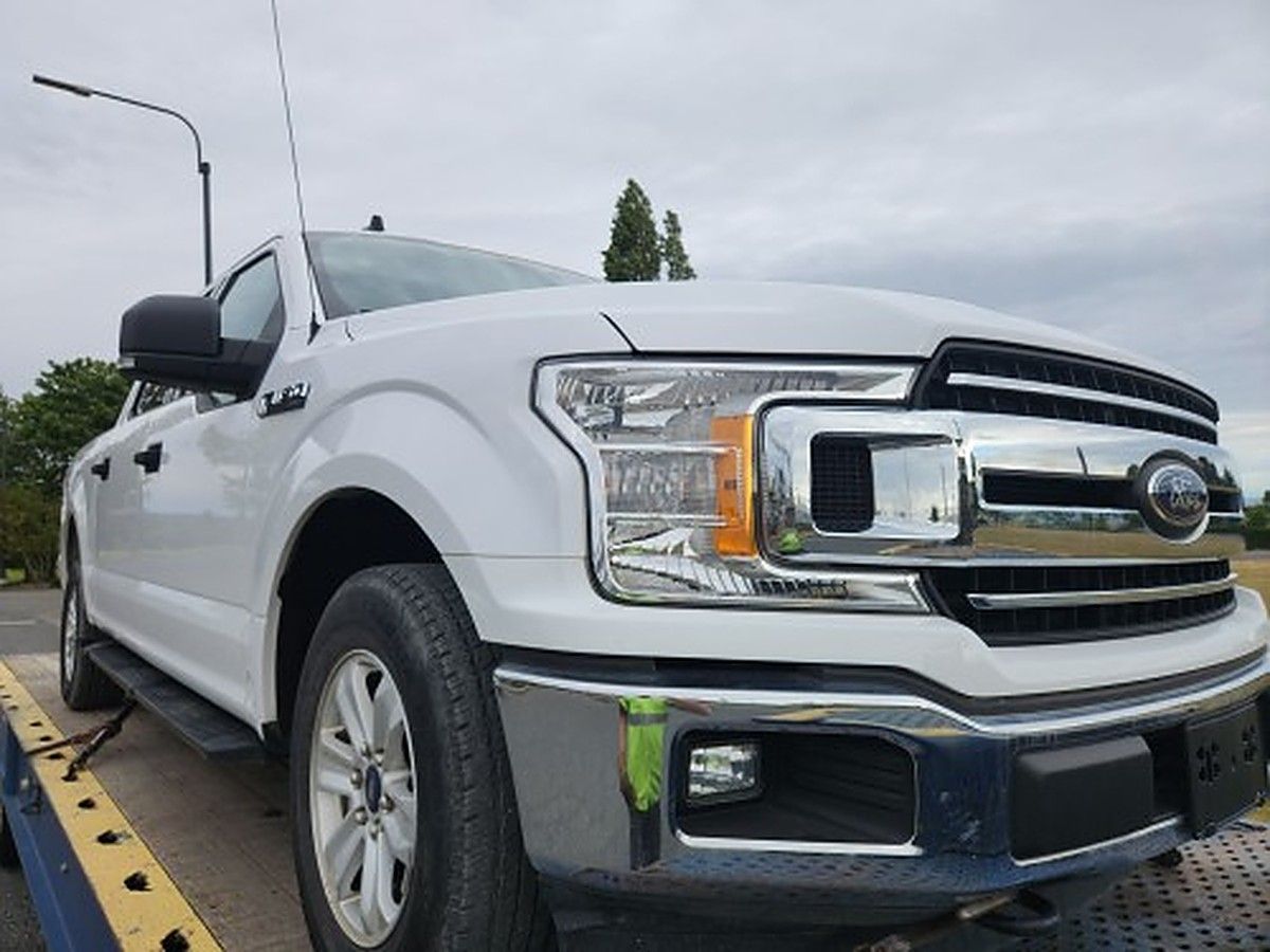 FORD F150CREWXLTG4WD photo 2