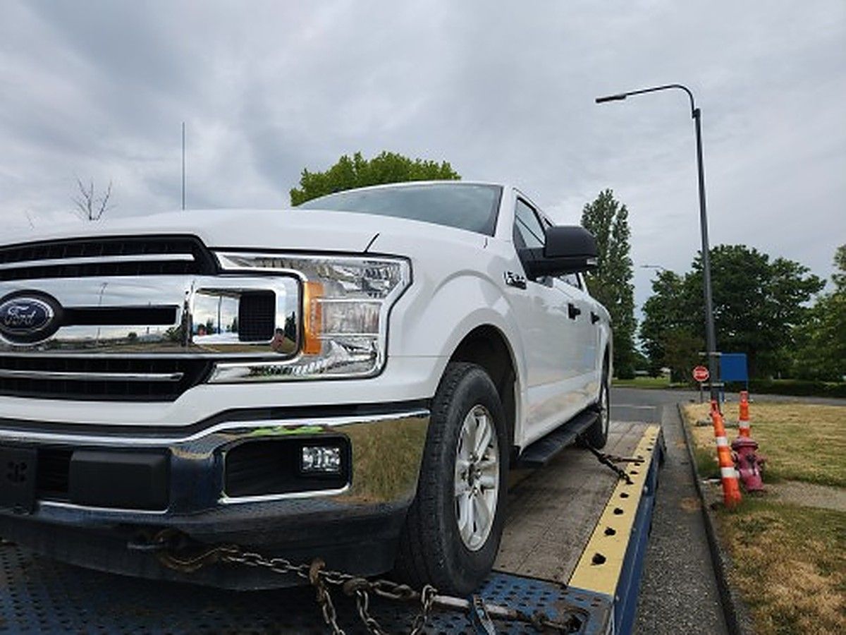 FORD F150CREWXLTG4WD photo 3