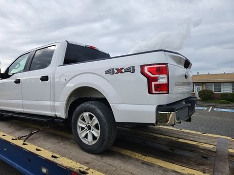 2020 FORD F150CREWXLTG4WD for sale