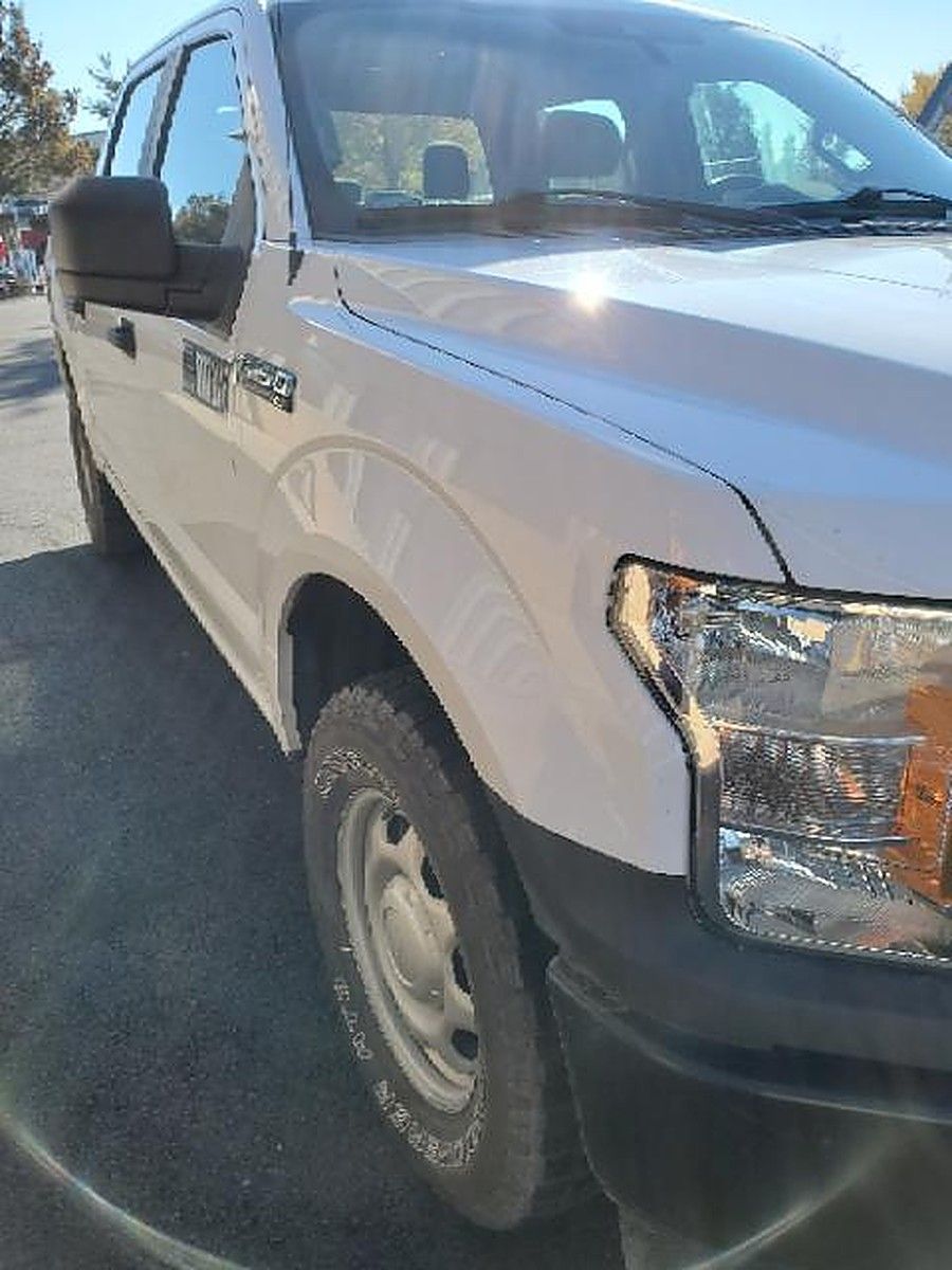 FORD F150CREWXLTG4WD photo 2