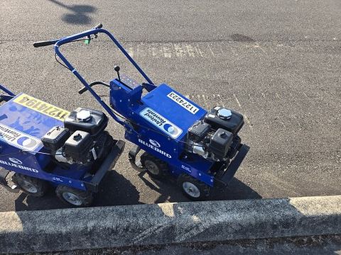 2021 BLUEBIRD SC550 Sod Cutter 18"