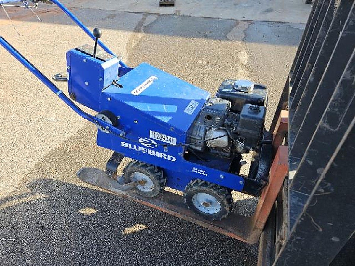 2021 BLUEBIRD SC550H for sale in Las Vegas, NV