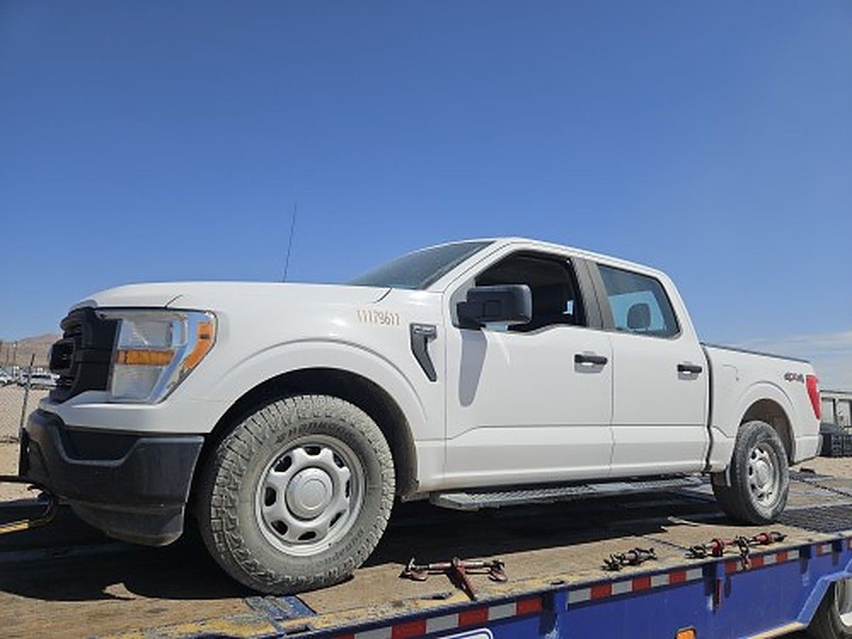 FORD F150CREWXLG4WD photo 3