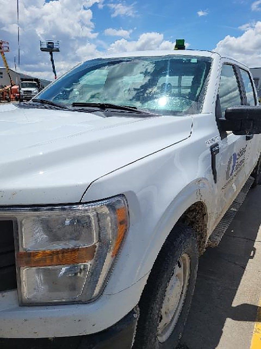 FORD F150CREWXLG4WD photo 11