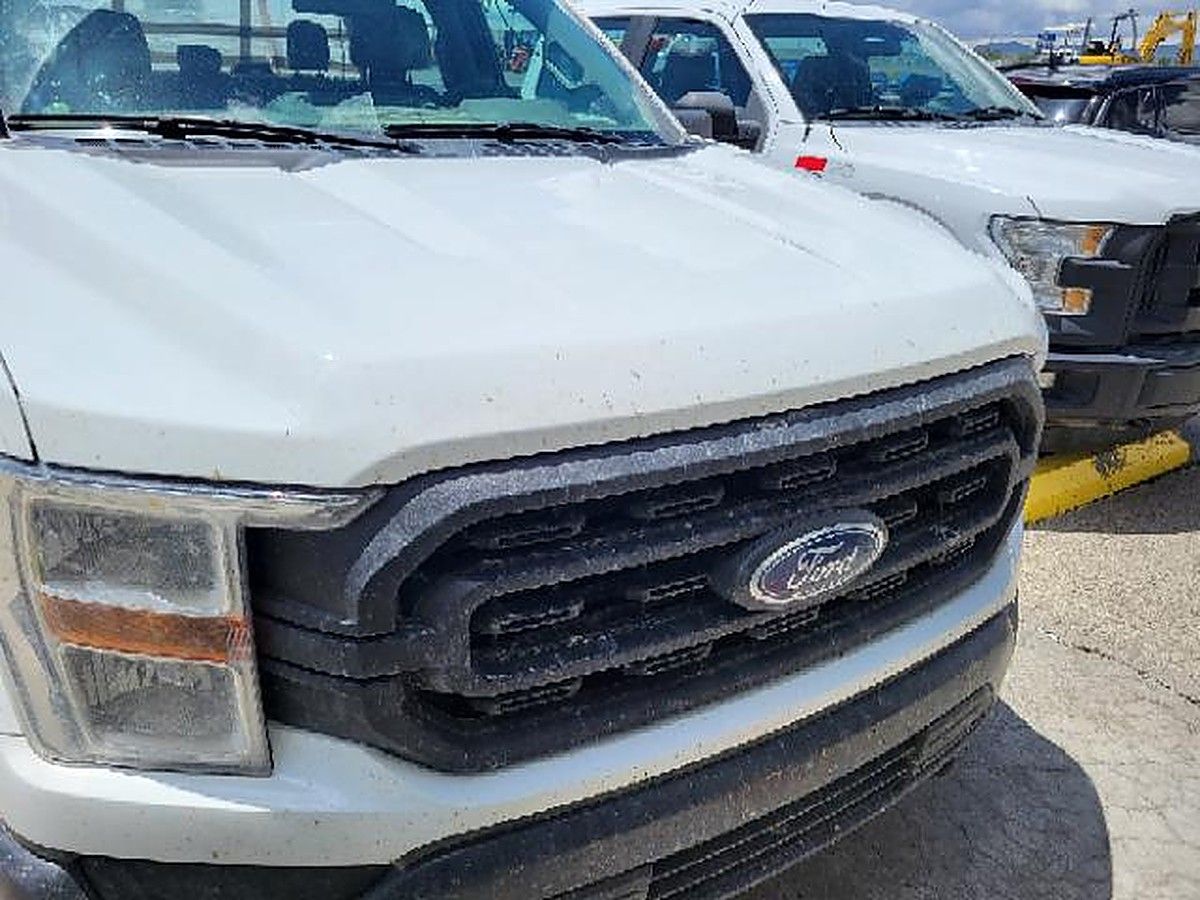 FORD F150CREWXLG4WD photo 4