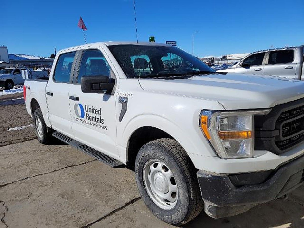 FORD F150CREWXLG4WD photo 6