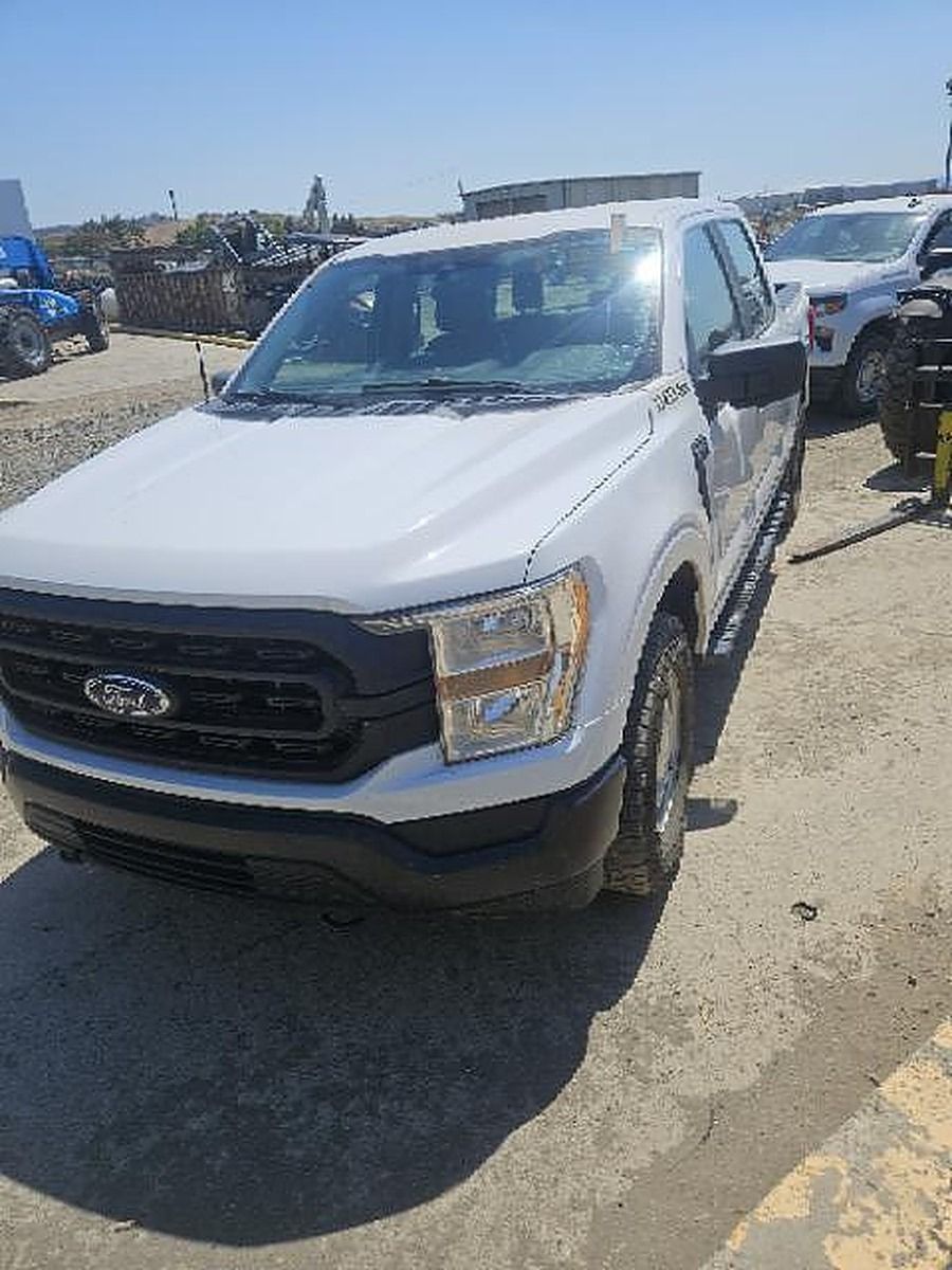 FORD F150CREWXLG4WD photo 8