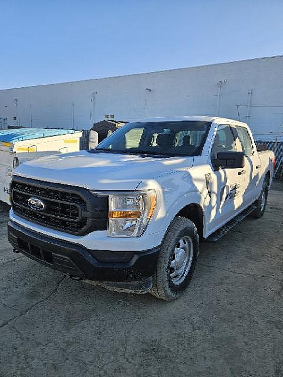FORD F150CREWXLG4WD photo 2