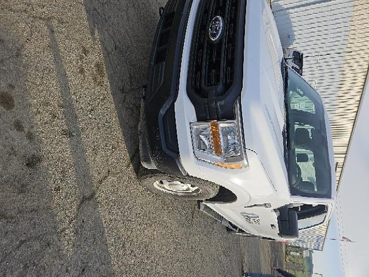 FORD F150CREWXLG4WD photo 3