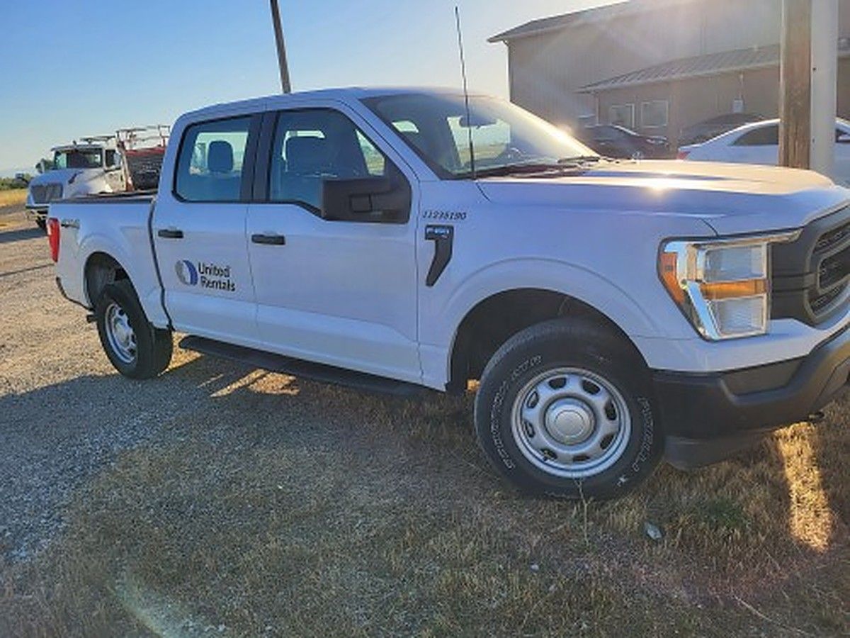 FORD F150CREWXLG4WD photo 3
