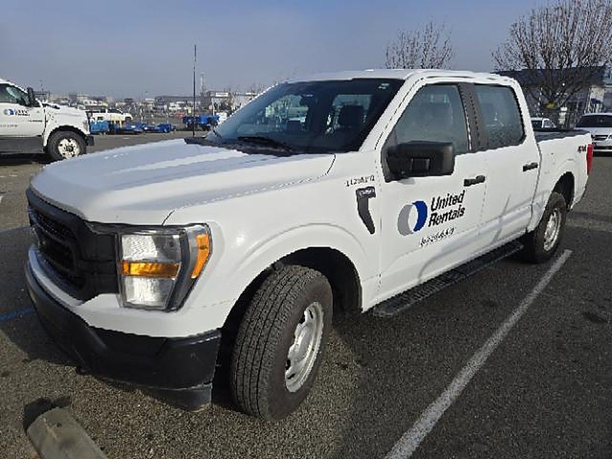 FORD F150CREWXLG4WD photo 3