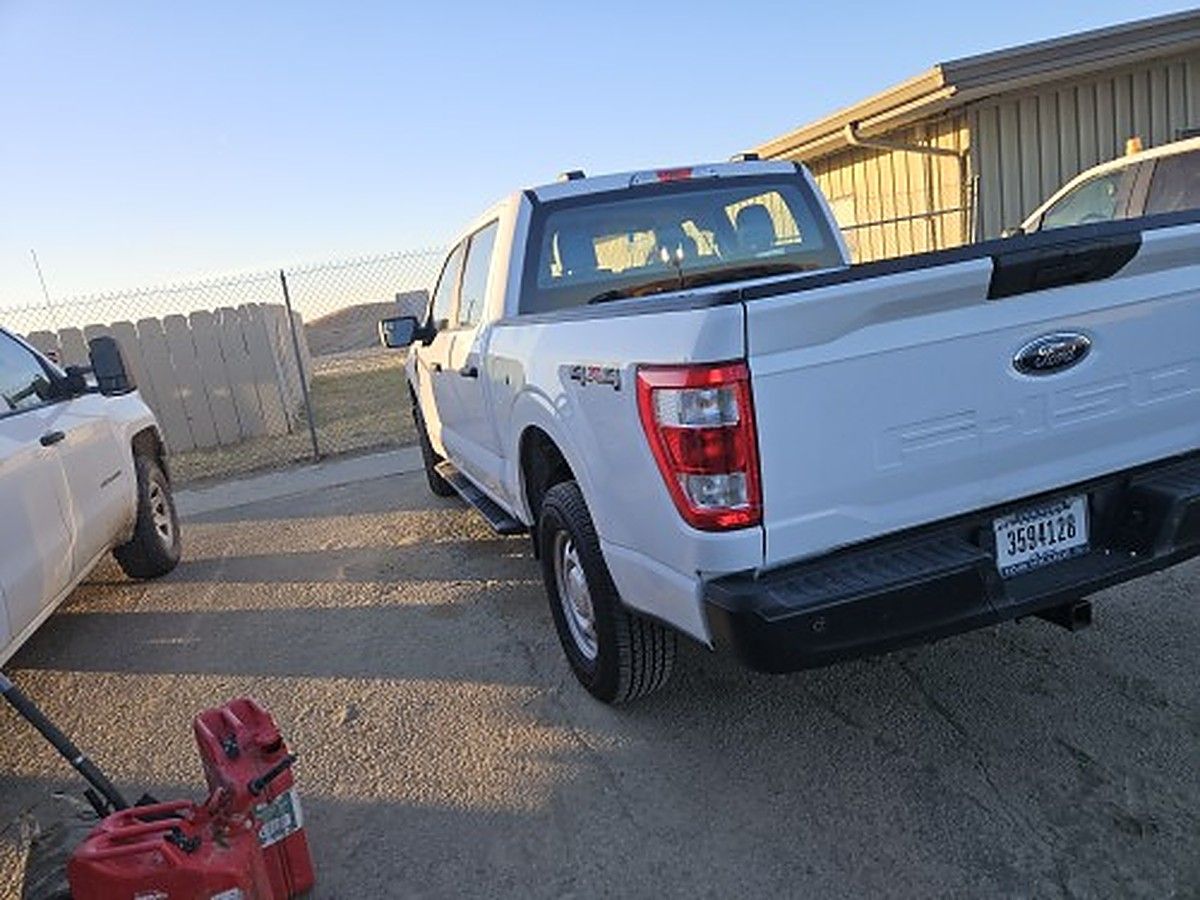 FORD F150CREWXLG4WD photo 2