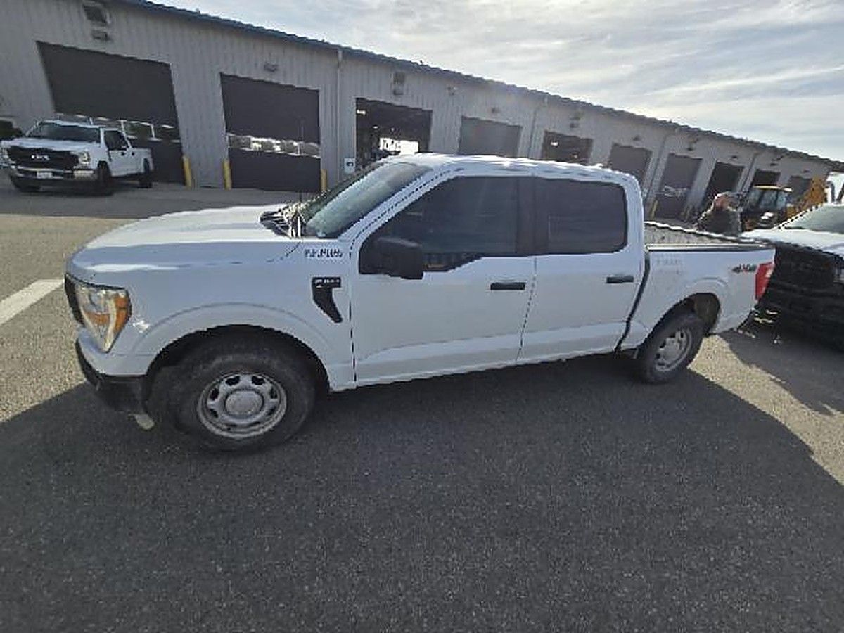 FORD F150CREWXLG4WD photo 5