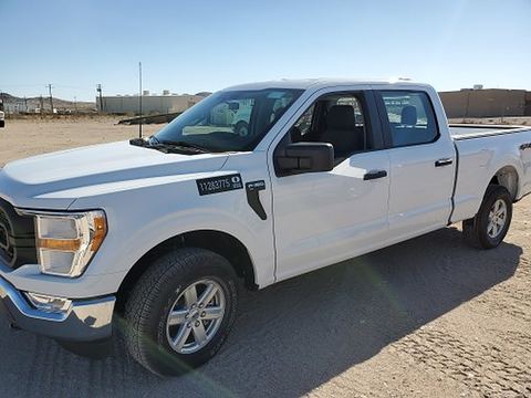 2021 FORD F150CREWXLG4WD for sale