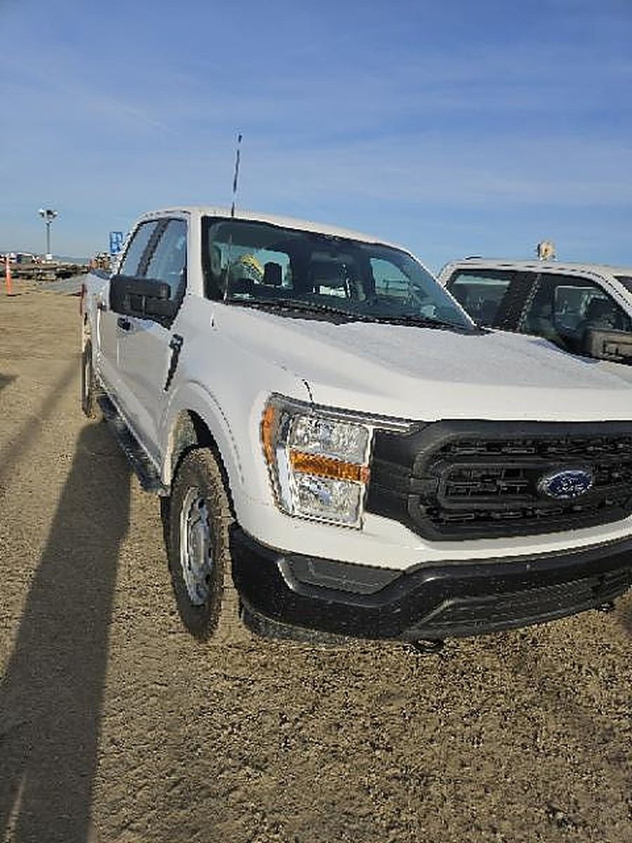 FORD F150CREWXLG4WD photo 2