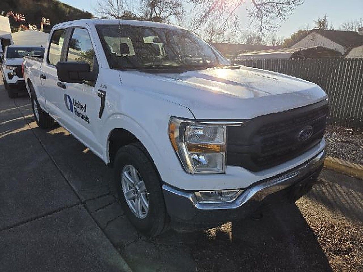 FORD F150CREWXLG4WD photo 3