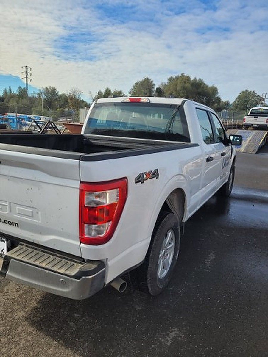 FORD F150CREWXLG4WD photo 3