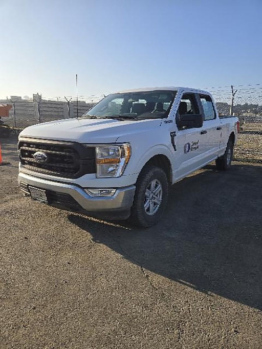 FORD F150CREWXLG4WD photo 3