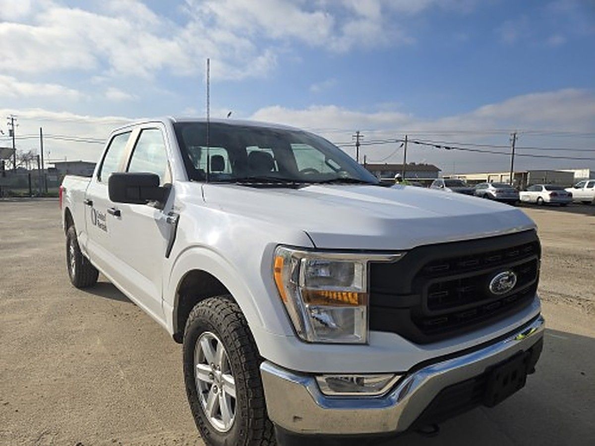 FORD F150CREWXLG4WD photo 2