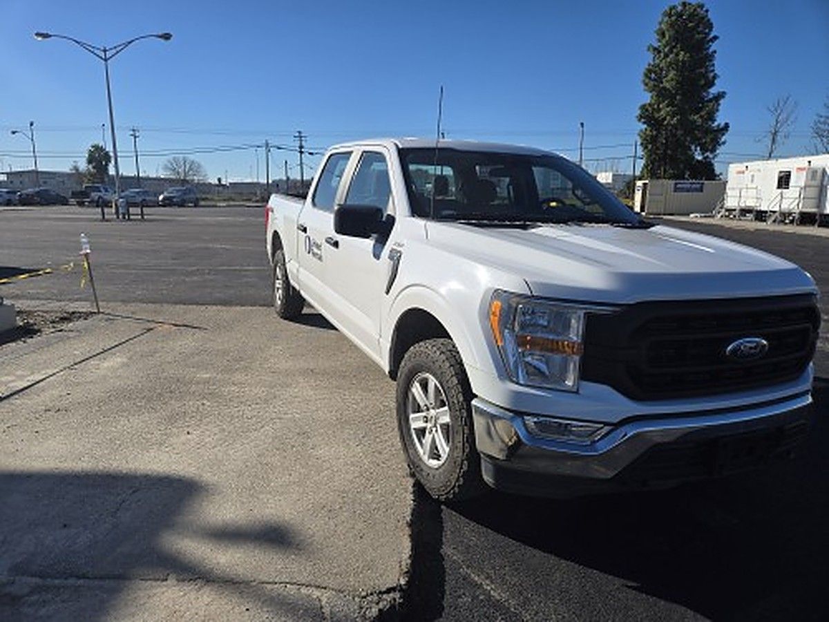 FORD F150CREWXLG4WD photo 6