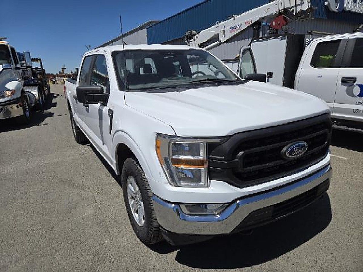 FORD F150CREWXLG4WD photo 5