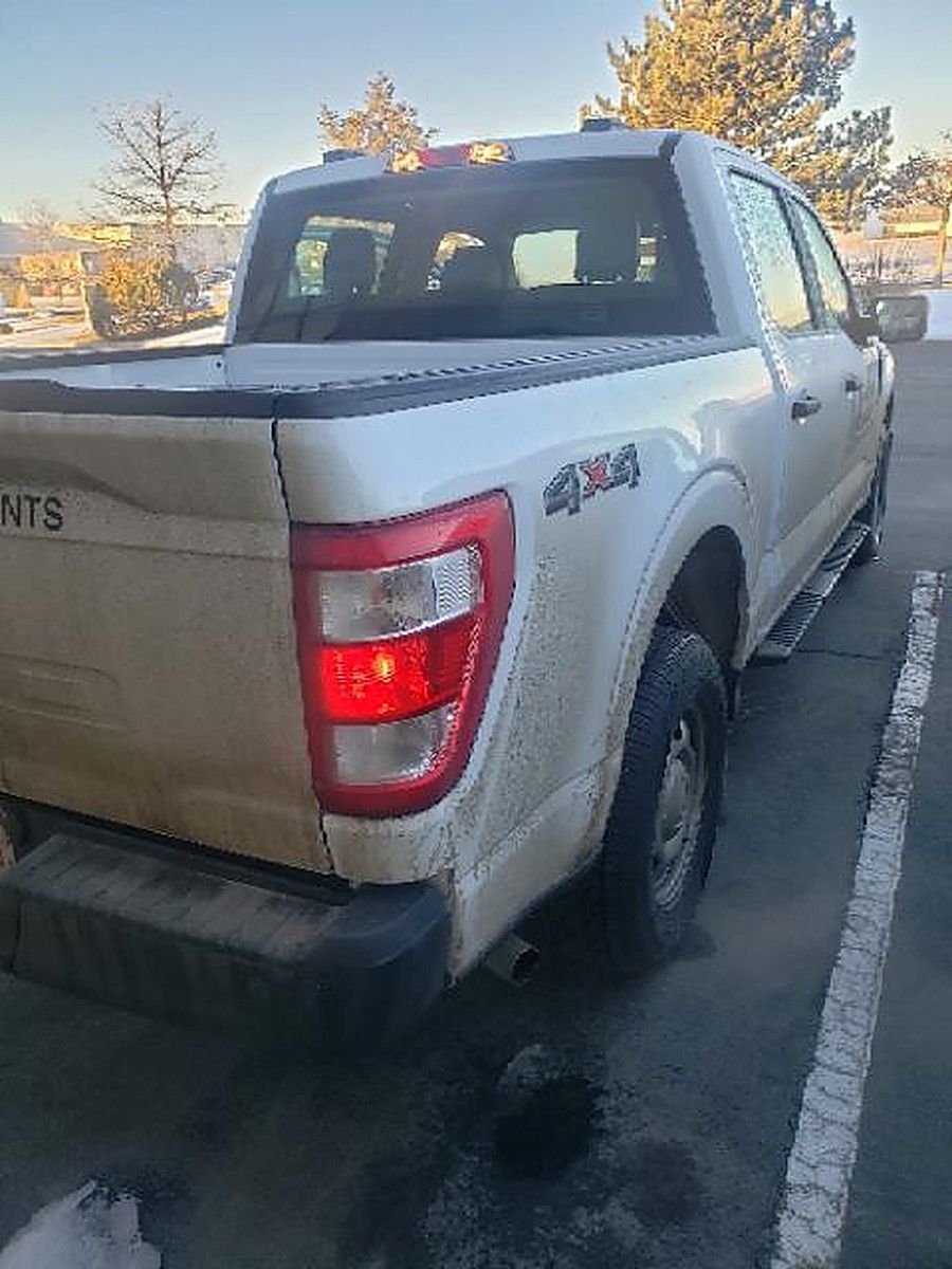 FORD F150CREWXLG4WD photo 10