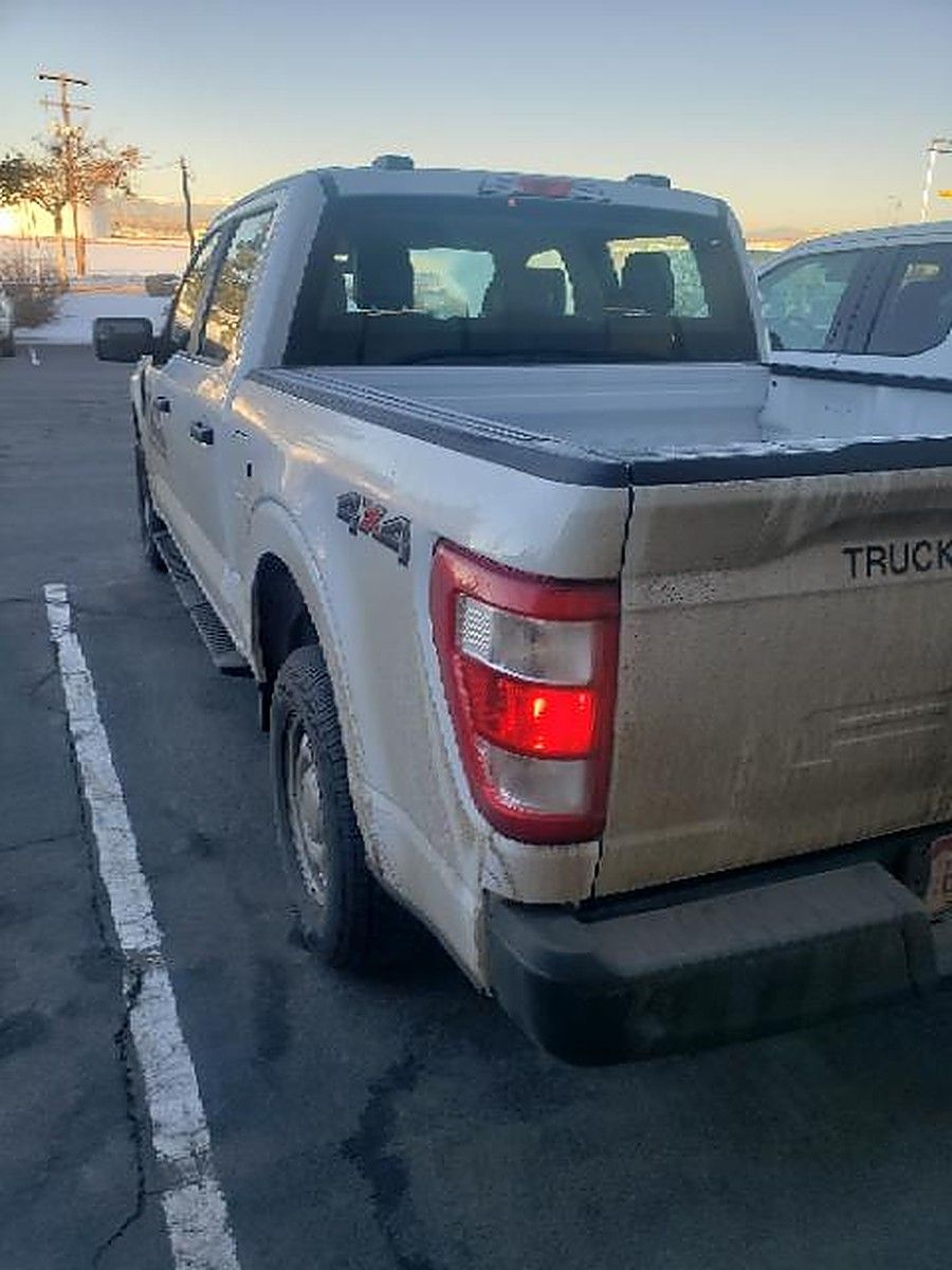 FORD F150CREWXLG4WD photo 7