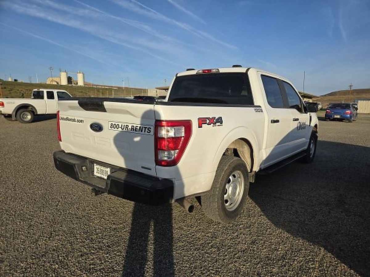 FORD F150CREWXLG4WD photo 5