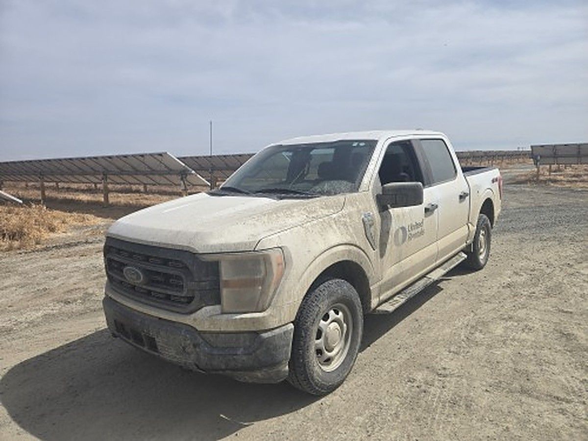 FORD F150CREWXLG4WD photo 2