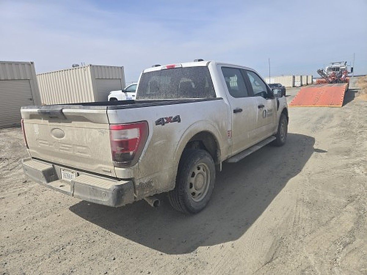 FORD F150CREWXLG4WD photo 3