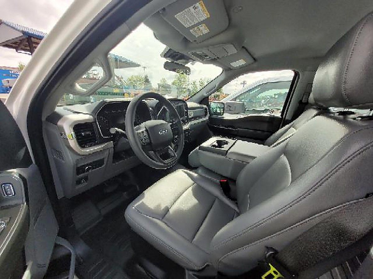FORD F150CREWXLG4WD photo 3
