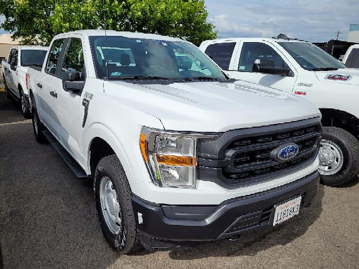 FORD F150CREWXLG4WD photo 6