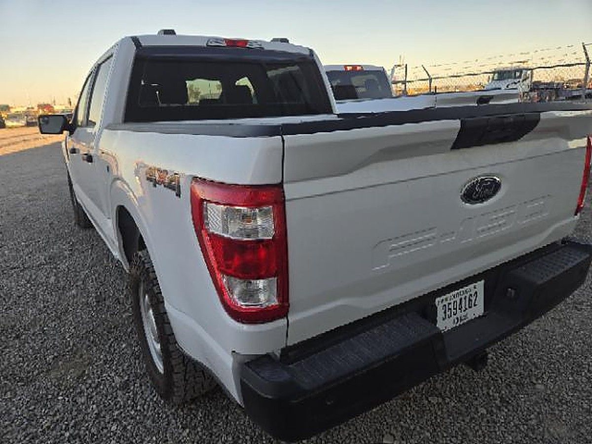 FORD F150CREWXLG4WD photo 3